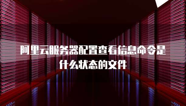 阿里云服务器配置查看信息命令是什么状态的文件