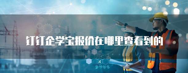 钉钉企学宝报价在哪里查看到的