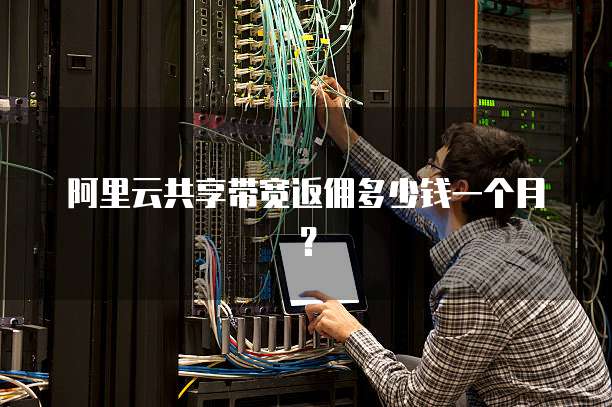 阿里云共享带宽返佣多少钱一个月?