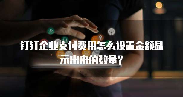 钉钉企业支付费用怎么设置金额显示出来的数量?