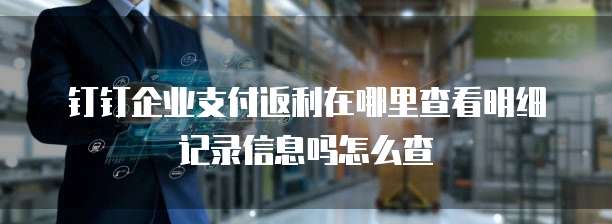 钉钉企业支付返利在哪里查看明细记录信息吗怎么查