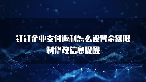 钉钉企业支付返利怎么设置金额限制修改信息提醒