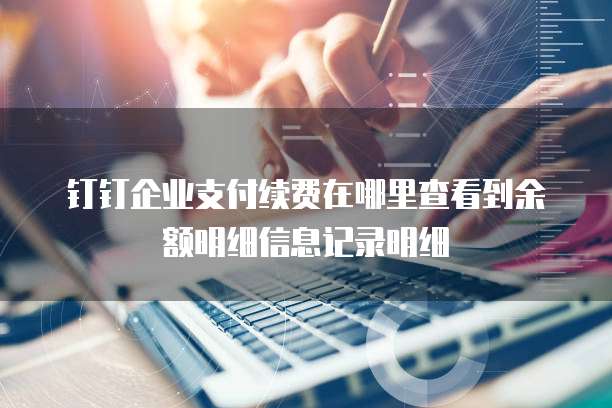 钉钉企业支付续费在哪里查看到余额明细信息记录明细
