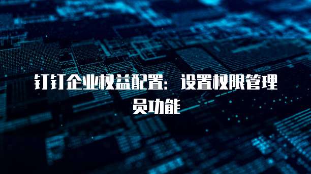 钉钉企业权益配置:设置权限管理员功能