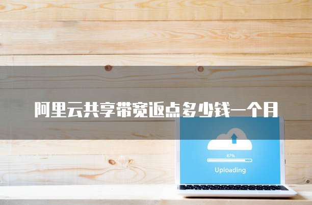 阿里云共享带宽返点多少钱一个月
