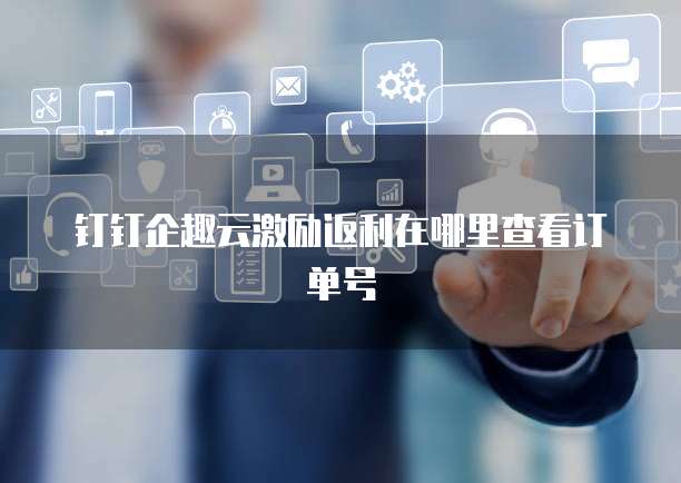 钉钉企趣云激励返利在哪里查看订单号