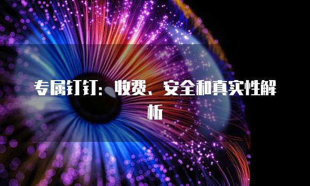 专属钉钉:收费、安全和真实性解析