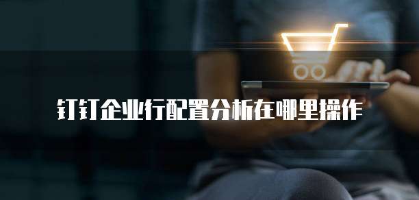 钉钉企业行配置分析在哪里操作