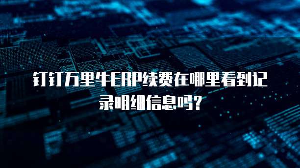 钉钉万里牛ERP续费在哪里看到记录明细信息吗?