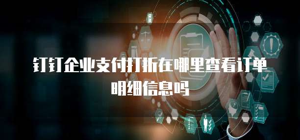 钉钉企业支付打折在哪里查看订单明细信息吗