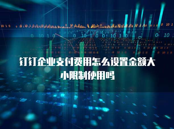 钉钉企业支付费用怎么设置金额大小限制使用吗