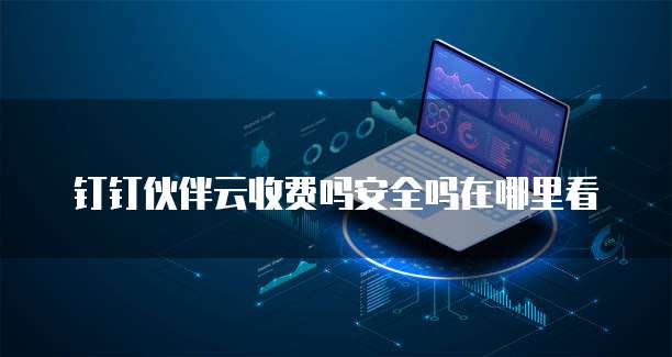 钉钉伙伴云收费吗安全吗在哪里看