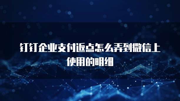 钉钉企业支付返点怎么弄到微信上使用的明细
