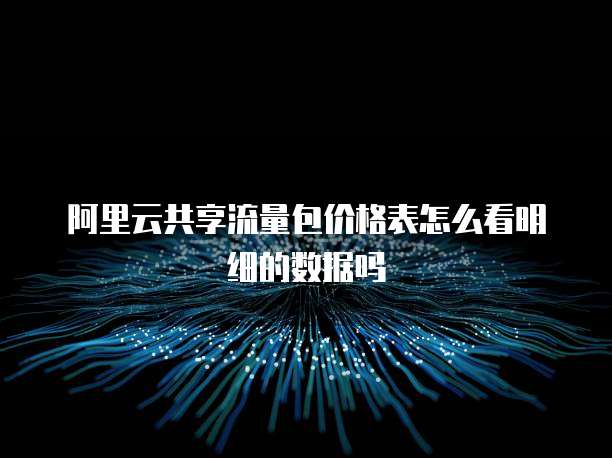 阿里云共享流量包价格表怎么看明细的数据吗