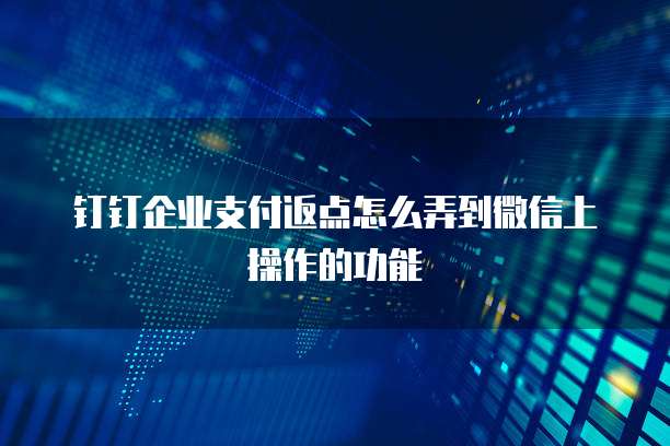 钉钉企业支付返点怎么弄到微信上操作的功能