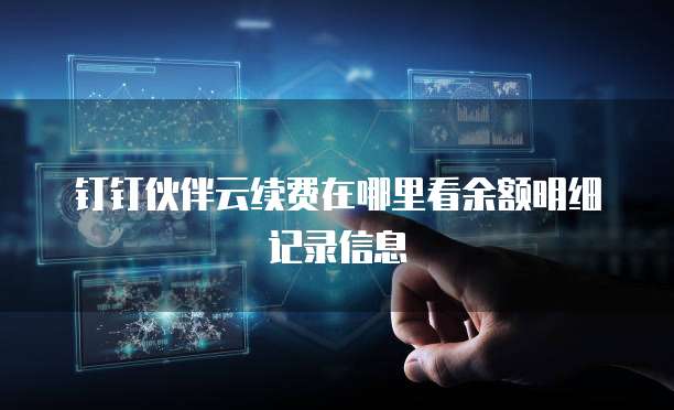 钉钉伙伴云续费在哪里看余额明细记录信息