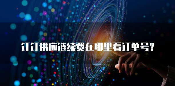 钉钉供应链续费在哪里看订单号?