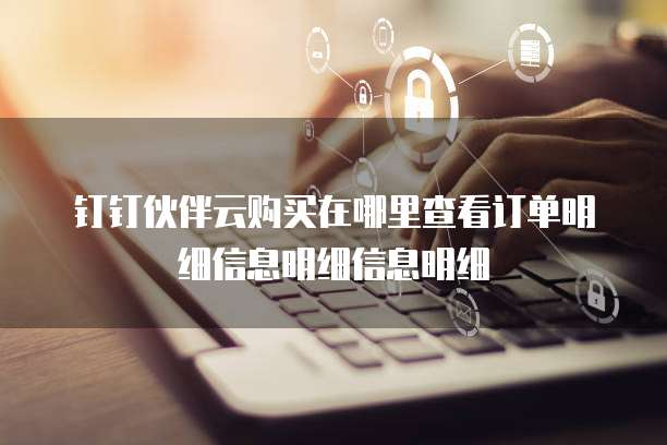 钉钉伙伴云购买在哪里查看订单明细信息明细信息明细