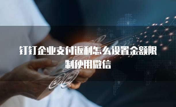 钉钉企业支付返利怎么设置金额限制使用微信