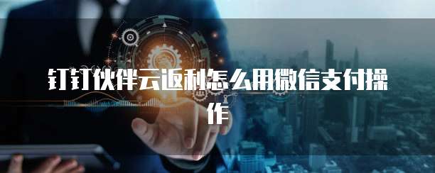 钉钉伙伴云返利怎么用微信支付操作