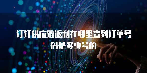 钉钉供应链返利在哪里查到订单号码是多少号的