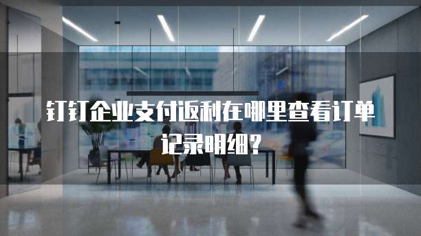 钉钉企业支付返利在哪里查看订单记录明细?