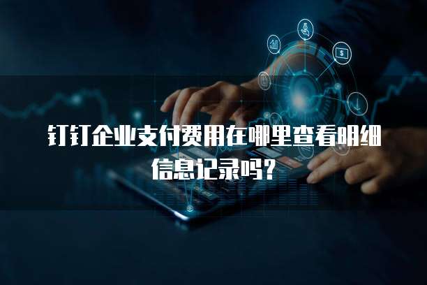 钉钉企业支付费用在哪里查看明细信息记录吗?