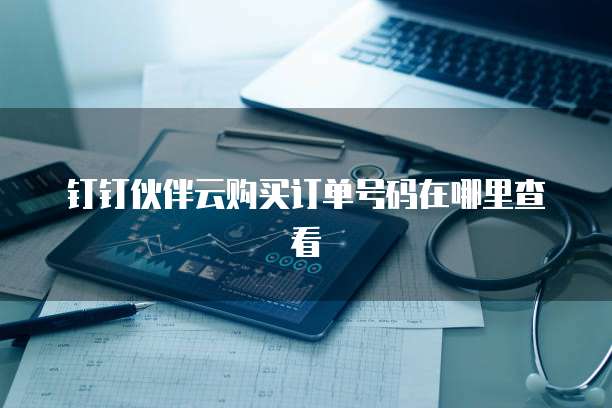钉钉伙伴云购买订单号码在哪里查看