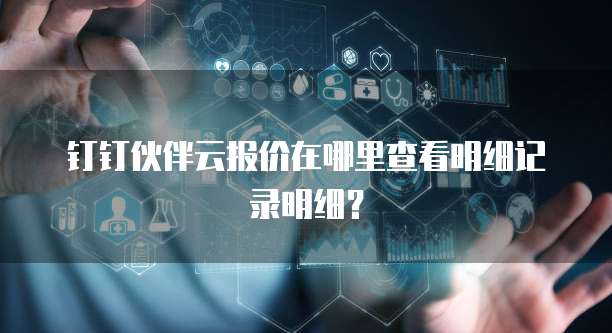钉钉伙伴云报价在哪里查看明细记录明细?