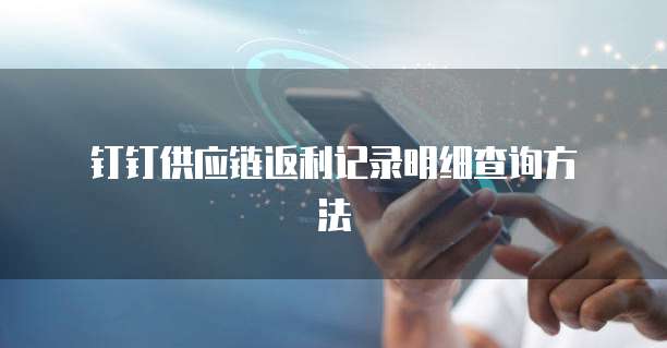 钉钉供应链返利记录明细查询方法