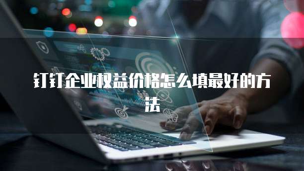 钉钉企业权益价格怎么填最好的方法