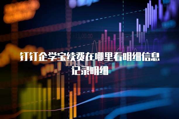 钉钉企学宝续费在哪里看明细信息记录明细