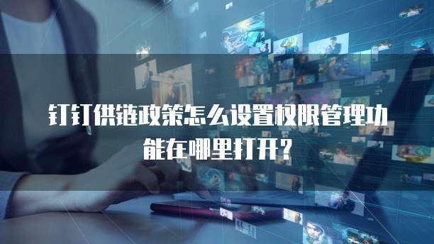钉钉供链政策怎么设置权限管理功能在哪里打开?