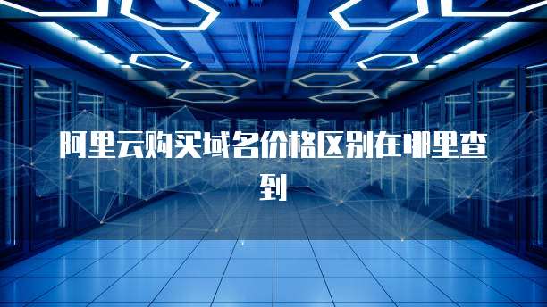 阿里云购买域名价格区别在哪里查到