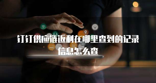 钉钉供应链返利在哪里查到的记录信息怎么查