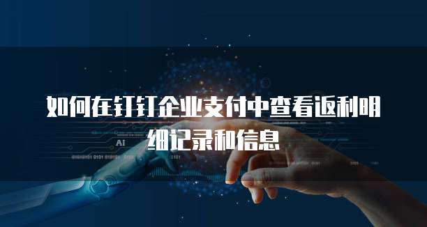 如何在钉钉企业支付中查看返利明细记录和信息