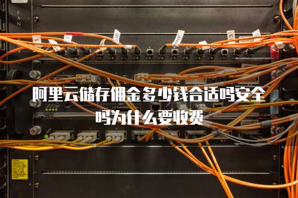 阿里云储存佣金多少钱合适吗安全吗为什么要收费