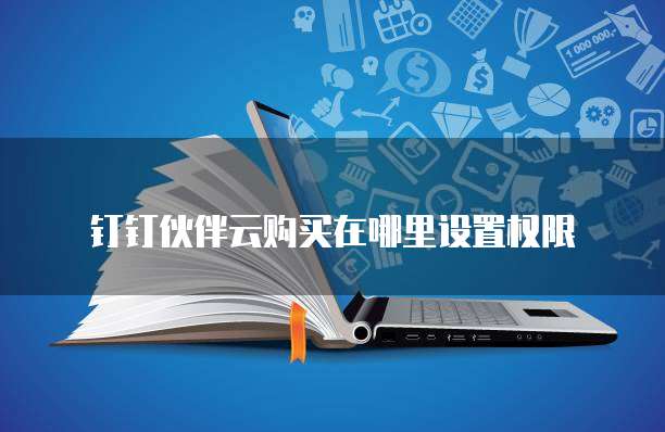 钉钉伙伴云购买在哪里设置权限
