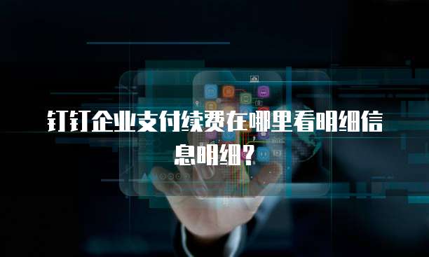 钉钉企业支付续费在哪里看明细信息明细?
