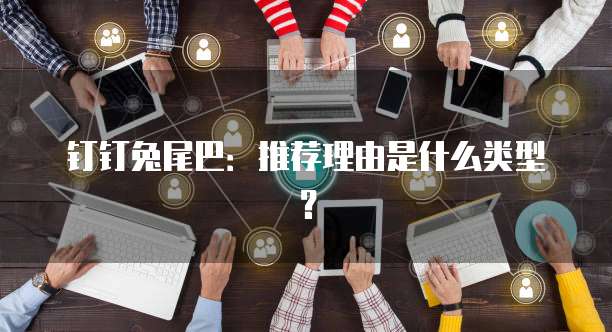钉钉兔尾巴:推荐理由是什么类型?