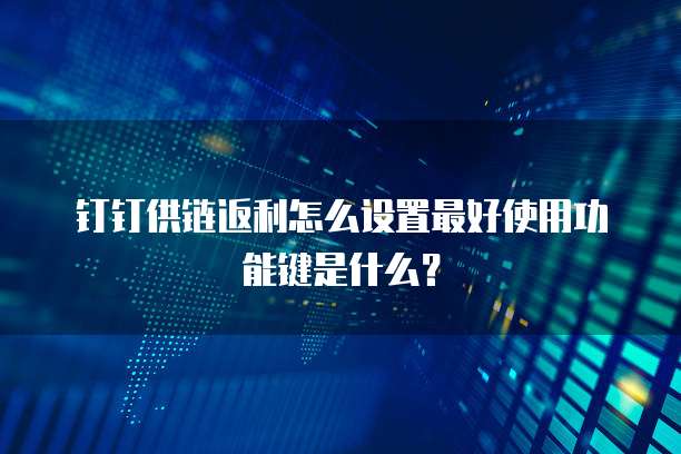 钉钉供链返利怎么设置最好使用功能键是什么?