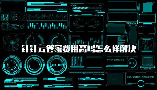 钉钉云管家费用高吗怎么样解决