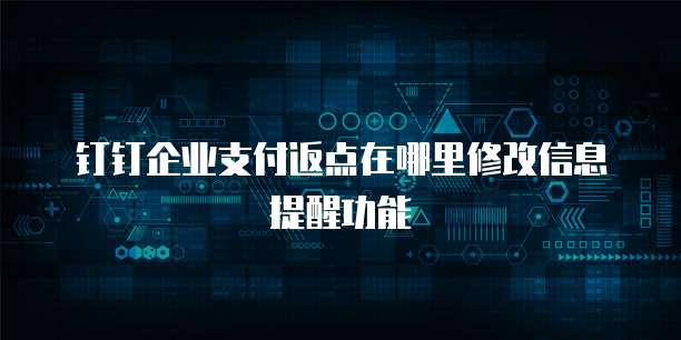 钉钉企业支付返点在哪里修改信息提醒功能