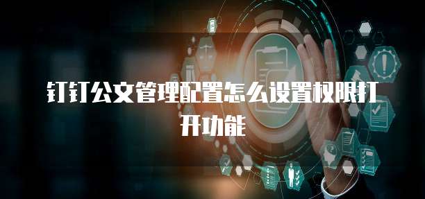 钉钉公文管理配置怎么设置权限打开功能