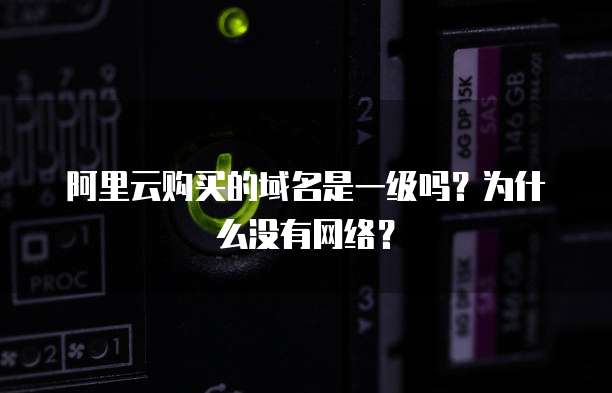 阿里云购买的域名是一级吗?为什么没有网络?