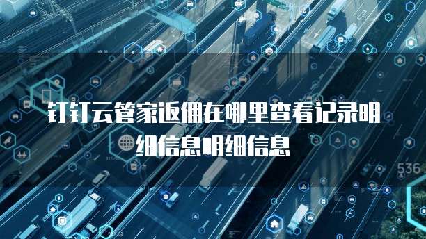 钉钉云管家返佣在哪里查看记录明细信息明细信息