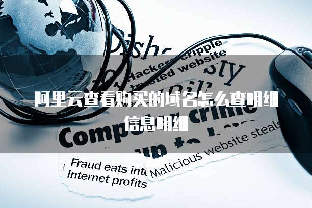 阿里云查看购买的域名怎么查明细信息明细