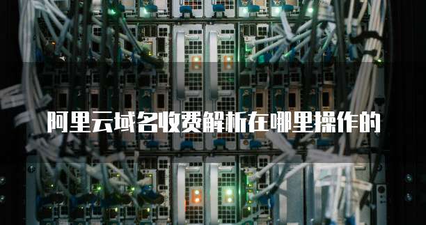 阿里云域名收费解析在哪里操作的