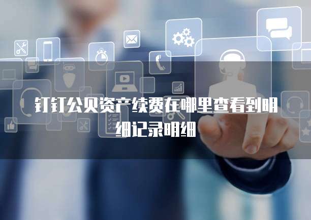 钉钉公贝资产续费在哪里查看到明细记录明细
