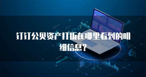 钉钉公贝资产打折在哪里看到的明细信息?